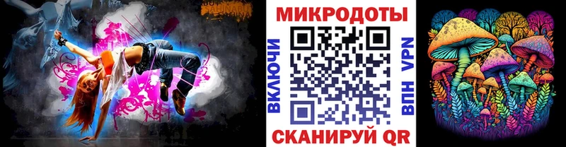 где купить   Ветлуга  Галлюциногенные грибы Psilocybine cubensis 