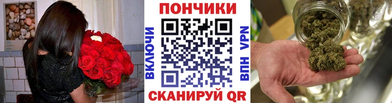где продают наркотики  Ветлуга  Каннабис конопля 